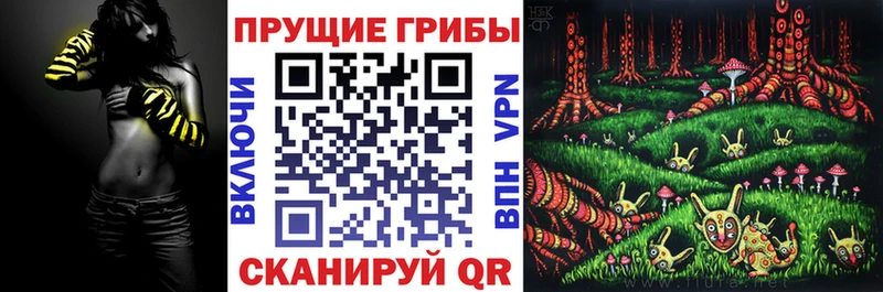 Псилоцибиновые грибы мицелий хочу Владимир